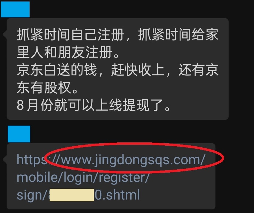 图3:假冒网站截图